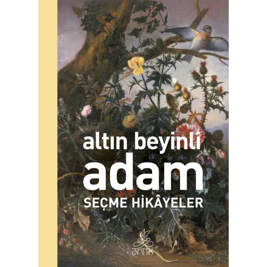 Altın Beyinli Adam